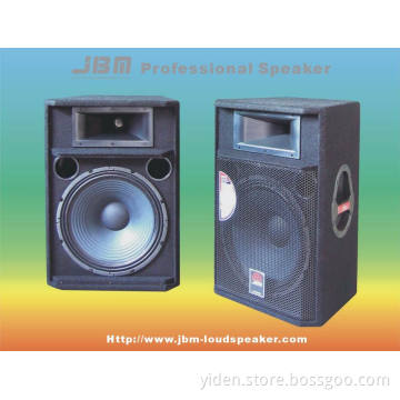Professional Loudspeaker